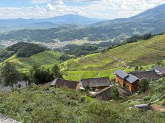 -紫鹊界梯田景区