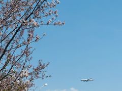 -斯普瑞斯奥特莱斯