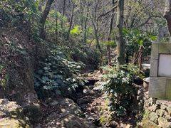 -兴福老面馆(寺路街店)