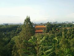 android_upload_pic-景山公园