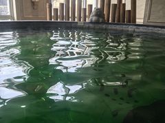-北京君和豪生温泉度假酒店