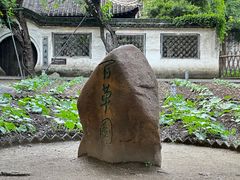 -绍兴鲁迅故里·沈园景区