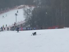 -东北亚滑雪场