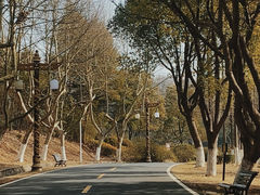 -宜兴龙背山森林公园