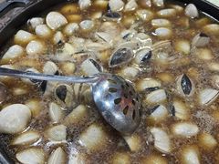 -顺德哥卜卜贝(旗舰店)