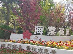 -海棠花溪(元大都城垣遗址公园)