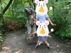 -皇藏峪国家森林公园
