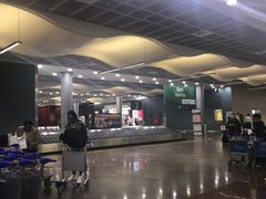 -西沃古尔·拉姆古兰爵士国际机场
