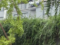 -成都杜甫草堂博物馆