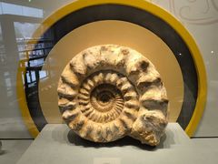 -湖南省地质博物馆