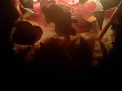 雪之女王-贝紫Style(木马公寓店)