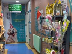-天使宠物医院·犬猫分诊(彩虹店)