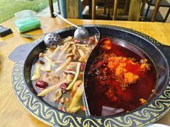 -小志家.野生菌鲜切牦牛肉牛杂火锅