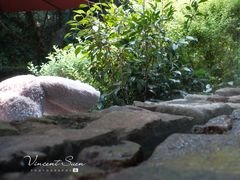 -三嚥阁 La Villa Restaurant