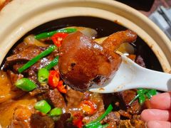 -金龙·打边炉(南京西路店)