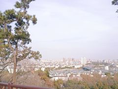 -亭林园-华藏寺