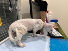 -美迦爱-牙专科·兔科·骨科诊疗中心(北苑店)