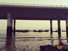 -演武大桥观景平台