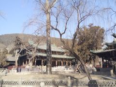 -晋祠公园