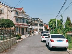 -马陆小张葡萄园农家乐