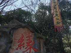 -杭州黄龙洞
