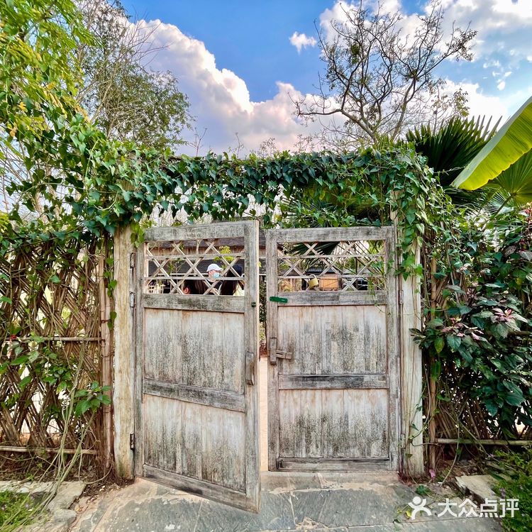 西双版纳的曼远村里有一个蘑菇屋