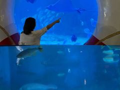 -烟台海昌鲸鲨海洋公园