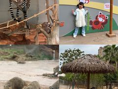 -福州罗源湾海洋世界旅游区