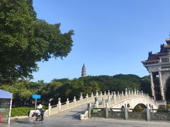 -顺峰山公园