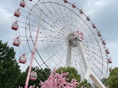 -东湖磨山景区