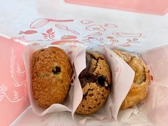 -西树泡芙(珠海华发商都店)