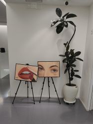 点击看大图 -木子美学