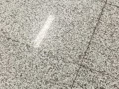 -奇芳阁·百年清真南京菜(夫子庙店)