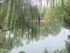 -溱湖国家湿地公园