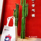 超适合姨妈期喝的奶茶！供暖自由！！！