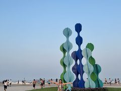 -日照海滨国家森林公园