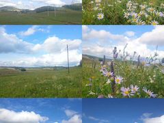 -塞罕坝国家级自然保护区