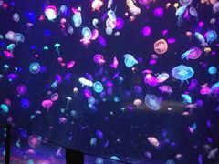 -名苑皇宫酒家(来魅力壁画村店)