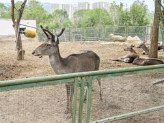 -青藏高原野生动物园