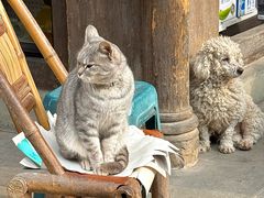 -海窝子古镇
