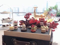 -诺莱仕游艇会