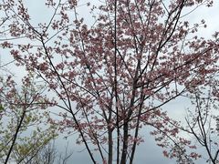 -牛岗山公园