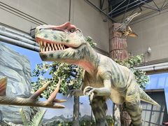 -国家自然博物馆