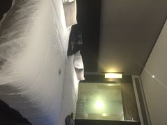 峨眉雪芽大酒店-成都峨眉雪芽大酒店