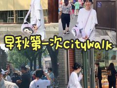 -北京国子监胡同