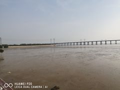 -宝安西湾红树林湿地公园