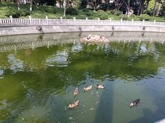 -梵天禅寺