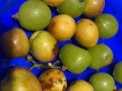 -海铺·渔家虾水饺(皇姑店)