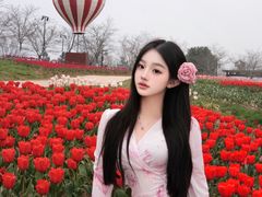 -金卉庄园