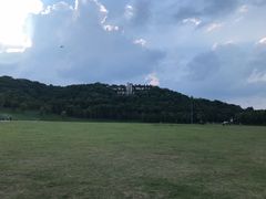 -羊山湖公园